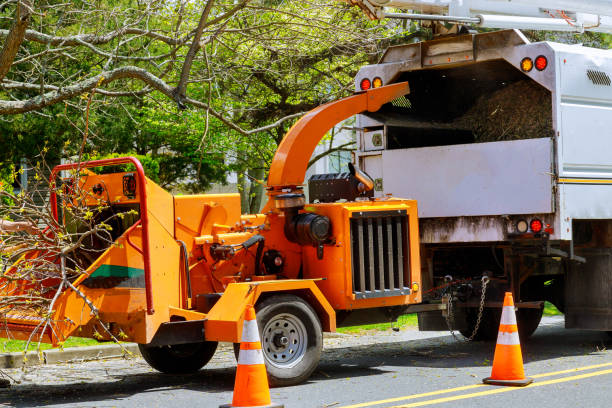 East Douglas, MA Tree Services Company